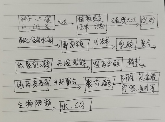 生物降解袋中的PLA是如何制得的？(圖1)