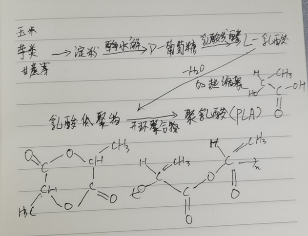 生物降解袋中的PLA是如何制得的？(圖2)
